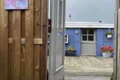 IMG_6670